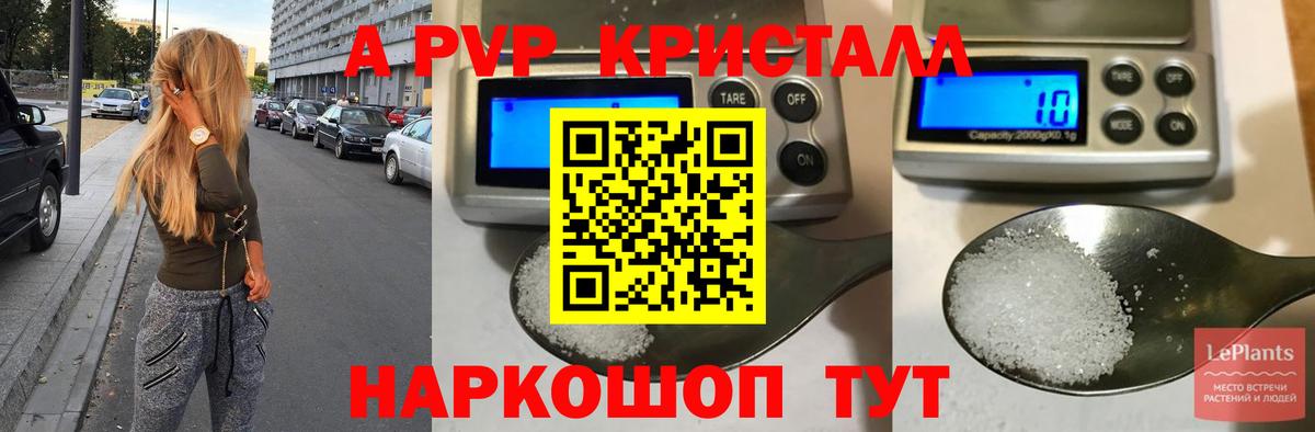 закладка  Вход с VPN  Alpha PVP СК  Красногорск  Alpha-PVP крисы CK 