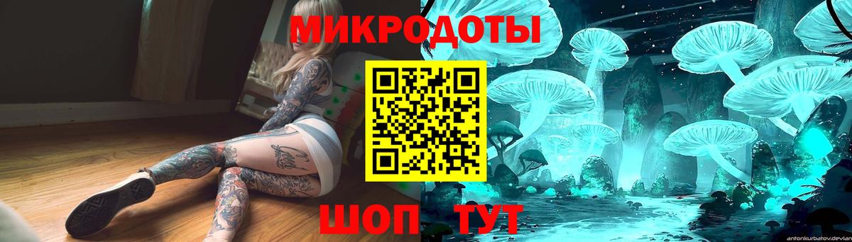 Красногорск  Галлюциногенные грибы прущие грибы  Вход с VPN 